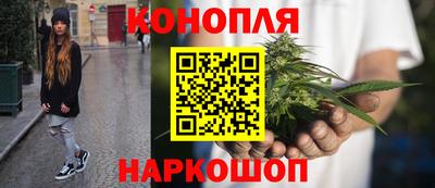 эйфоретик Новокубанск