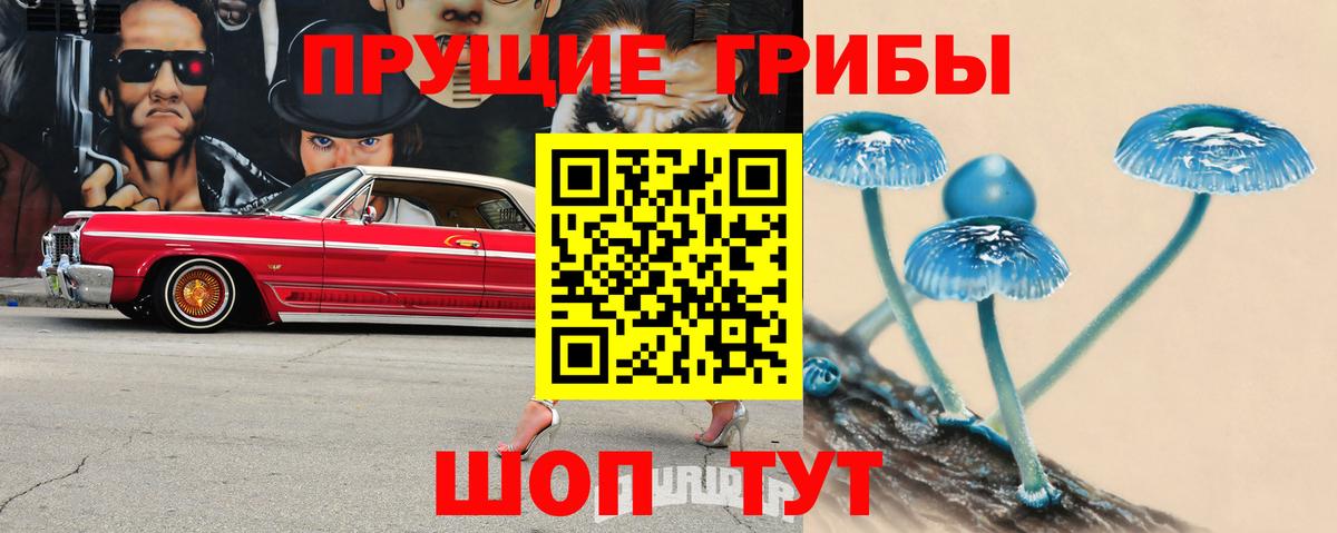Псилоцибиновые грибы мицелий  Галлюциногенные грибы мицелий  Вход с VPN  Юрга 